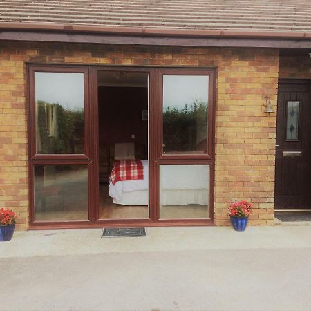 Maes y Môr Apartamento Llanarth  Exterior foto